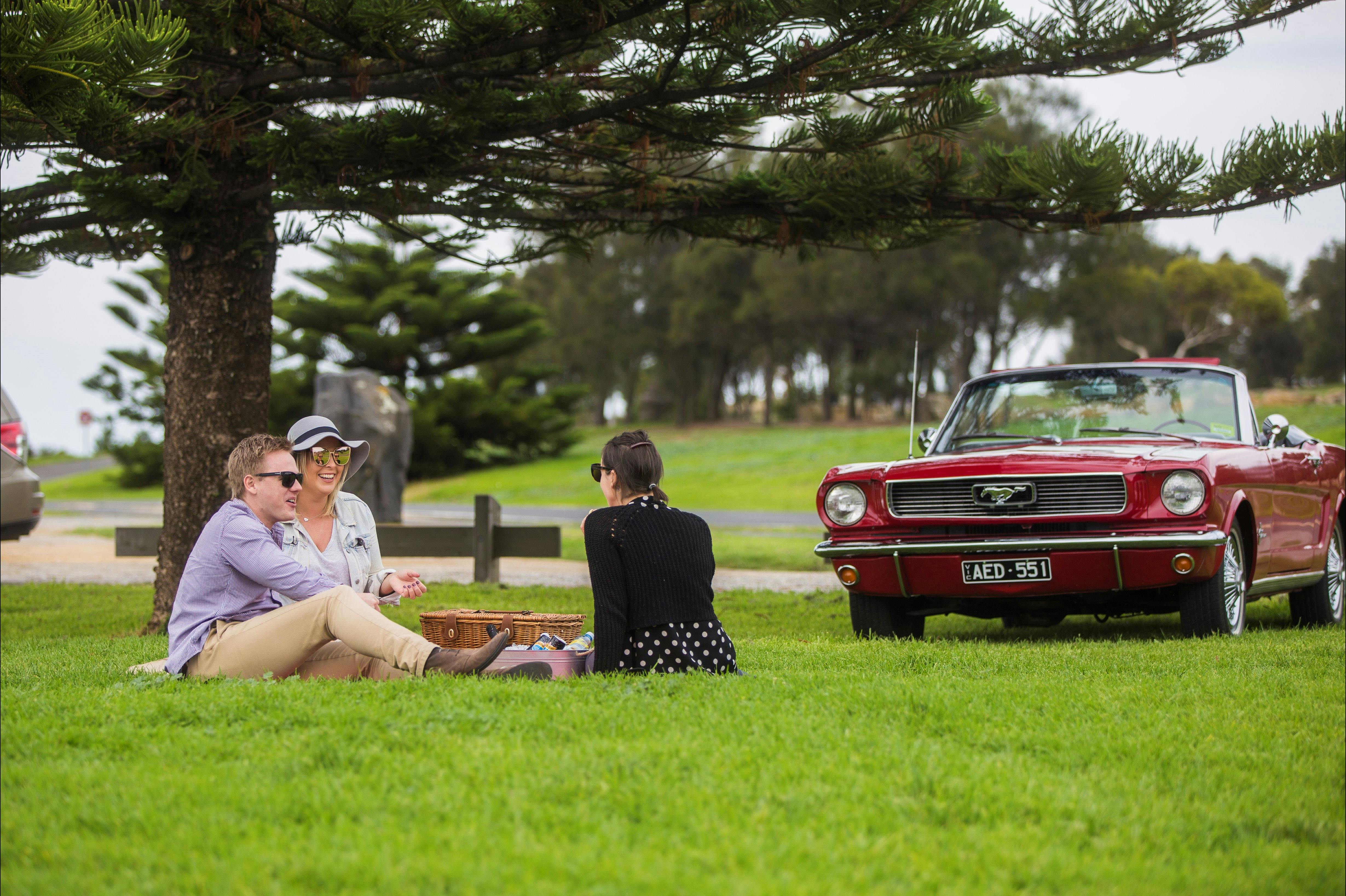 Gourmet Picnic can be provided.