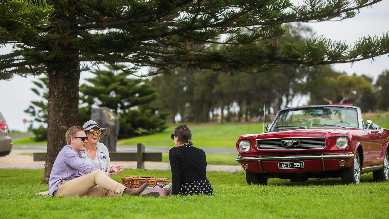 Gourmet picnic can be provided