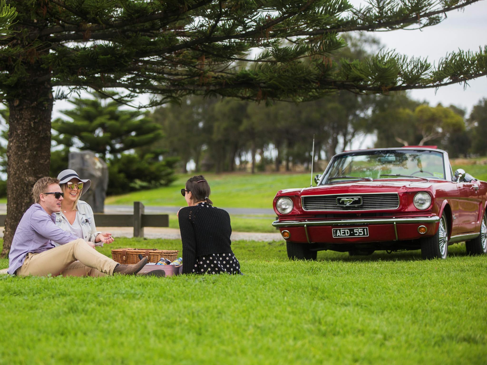 Gourmet picnic can be provided