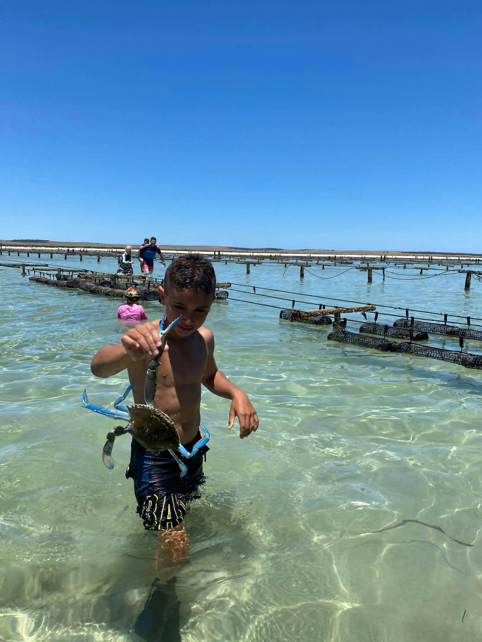 Crabbing