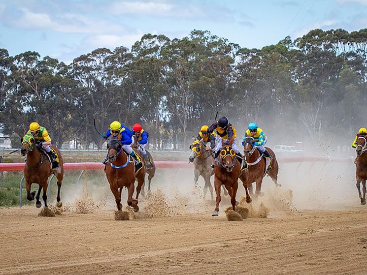 Running of the Hay Cup