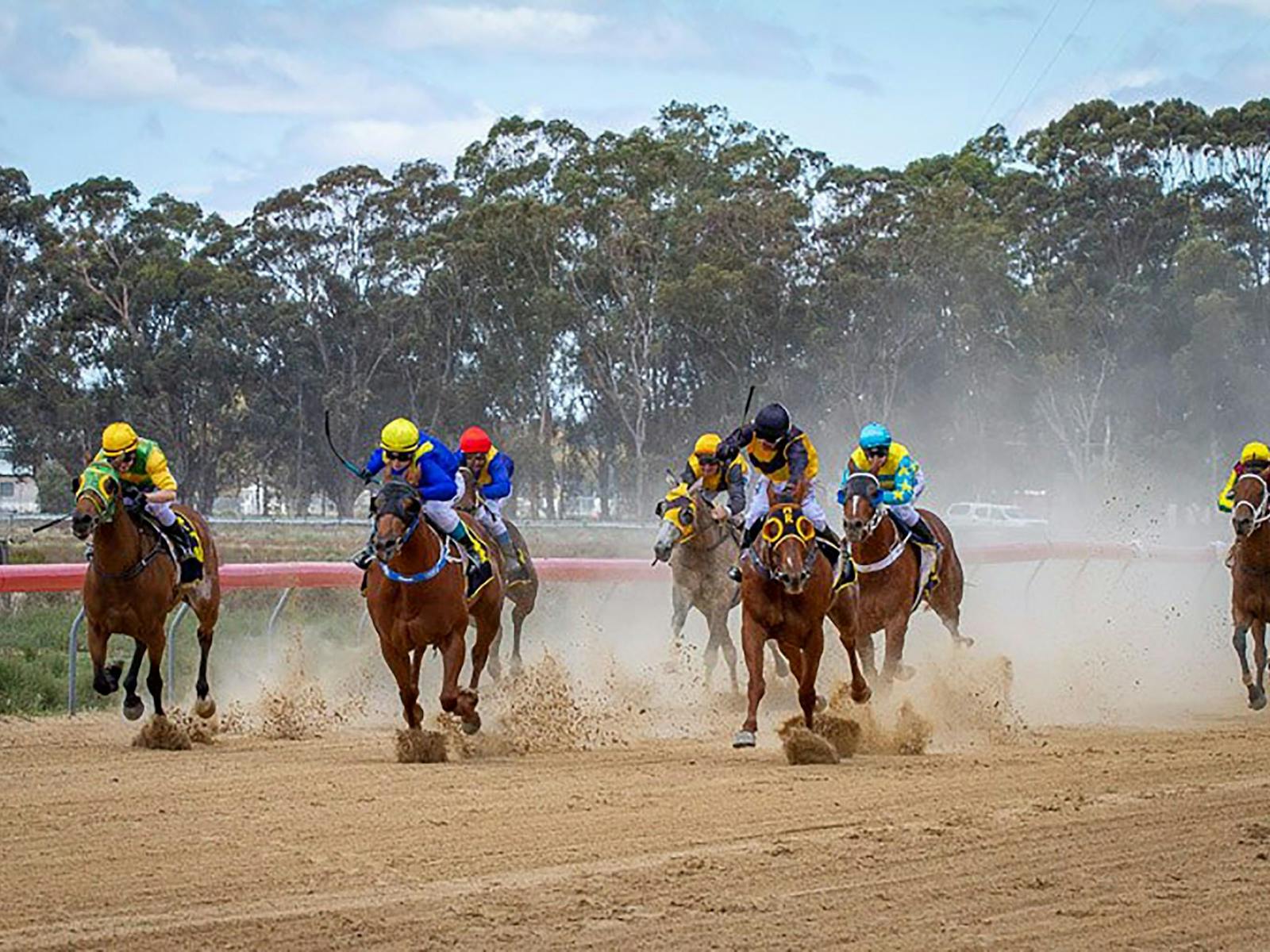 Image for Hay Races
