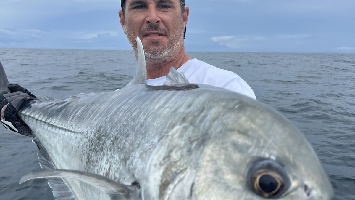 Giant Trevally