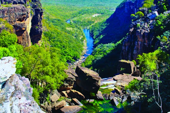 バークマーラムウォーク