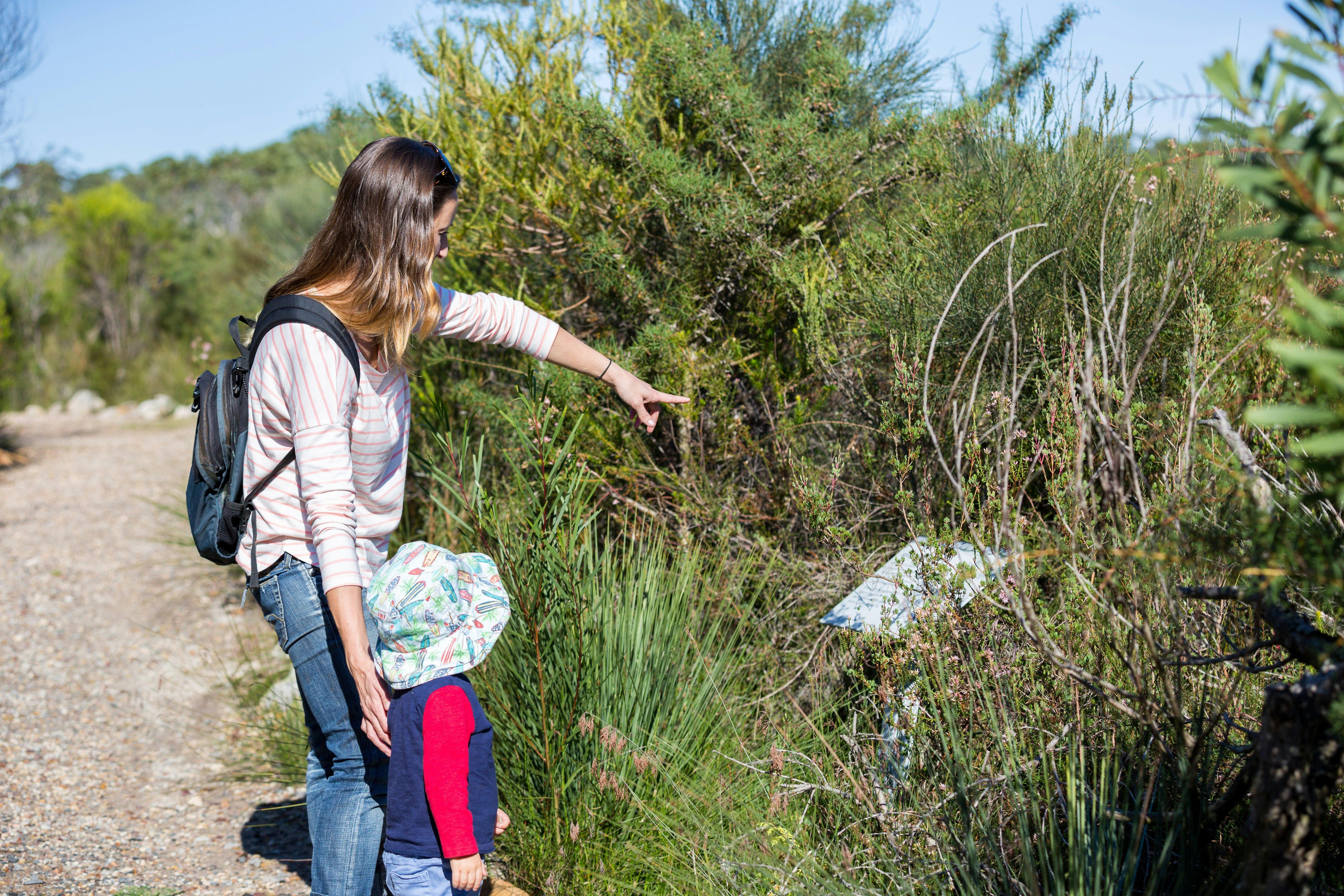 Telegraph Creek nature trail, Booderee National Park