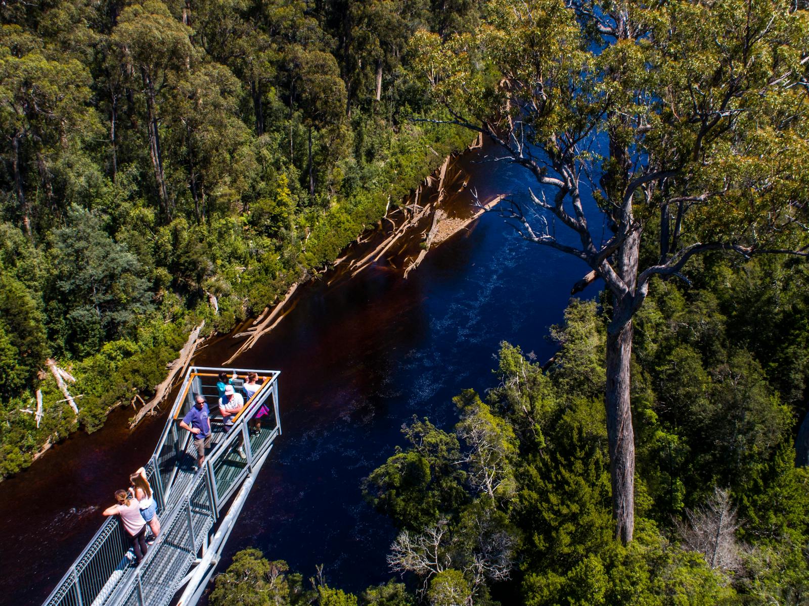 The famous Tahune AirWalk located at Tahune Adventures Tasmania, Lodge and Cabin accommodation.