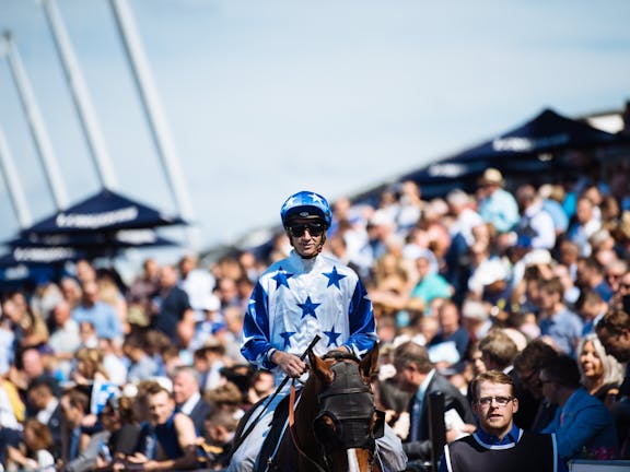 Rosehill Gardens Racecourse