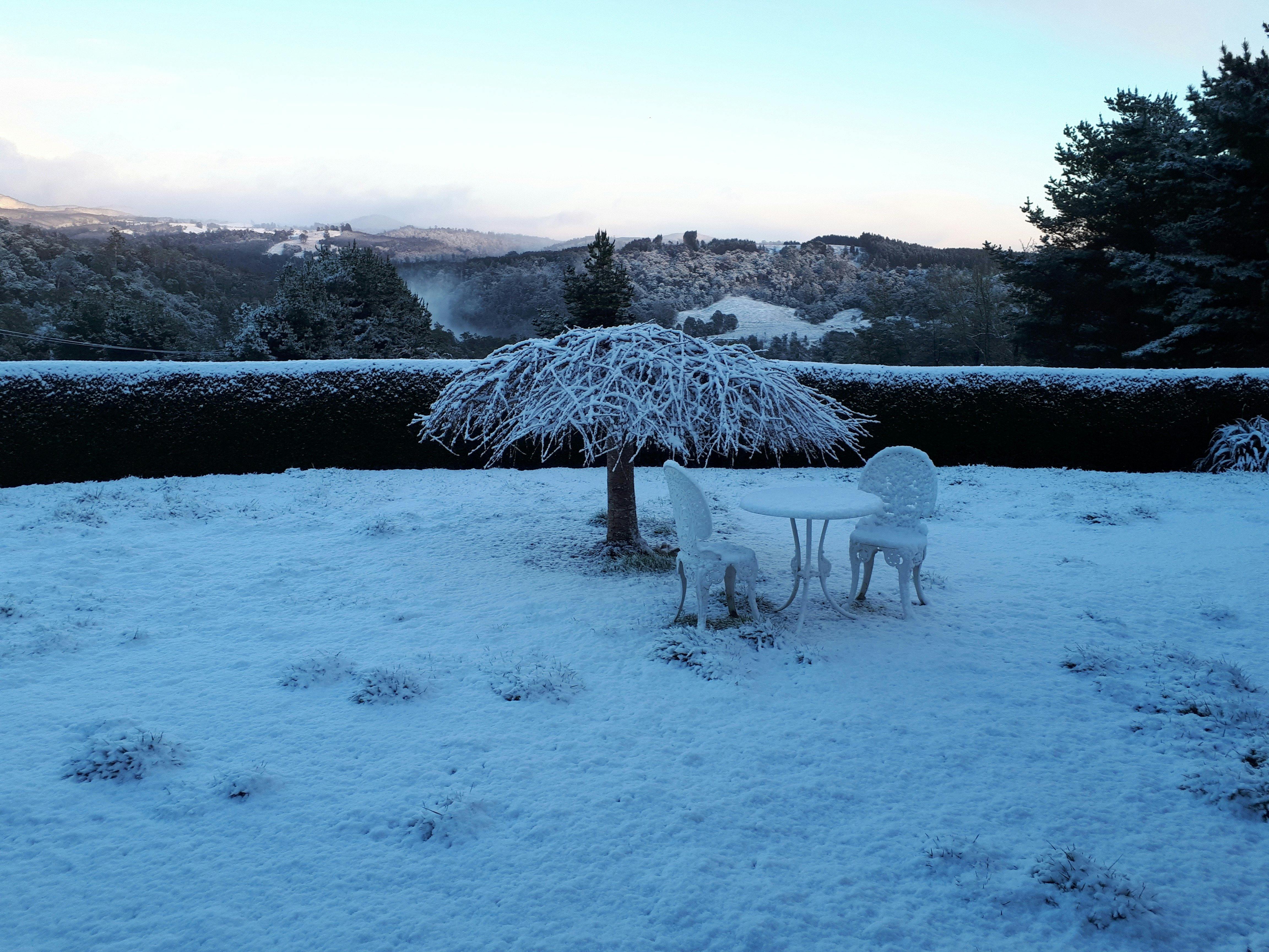 Magical winter snow covering Robin's Nest grounds looking to the west.