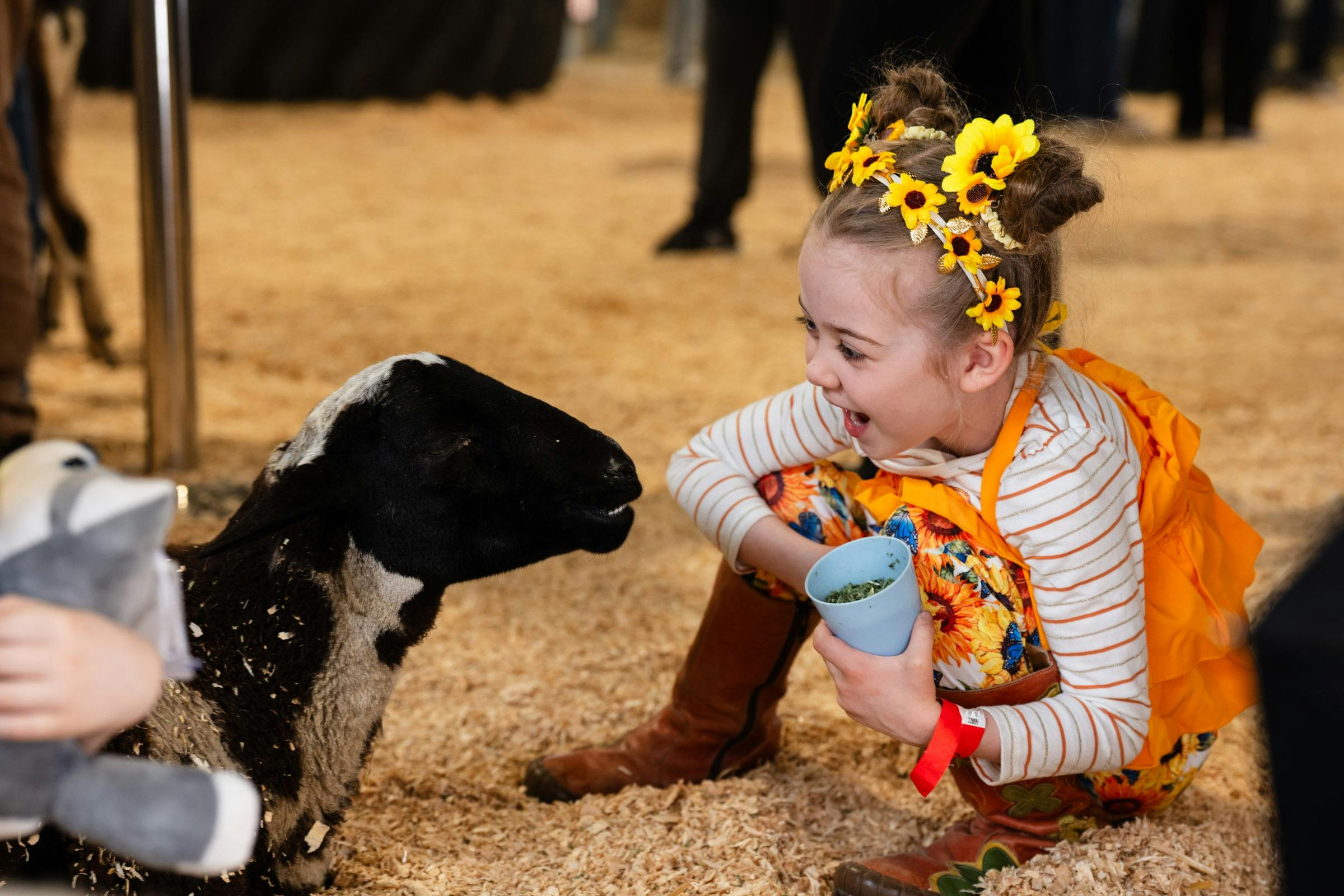 Melbourne Royal Show