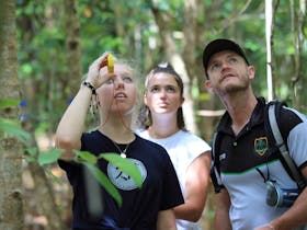 student rainforest tours