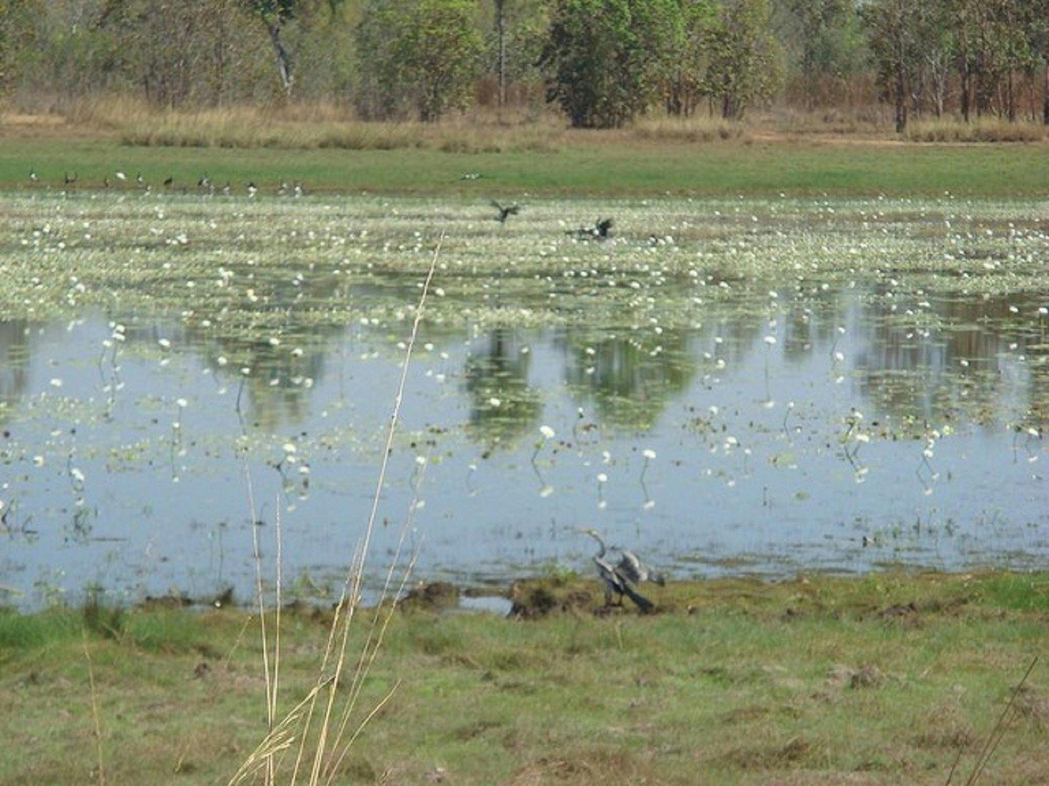 Leaning Tree Lagoon Nature Park