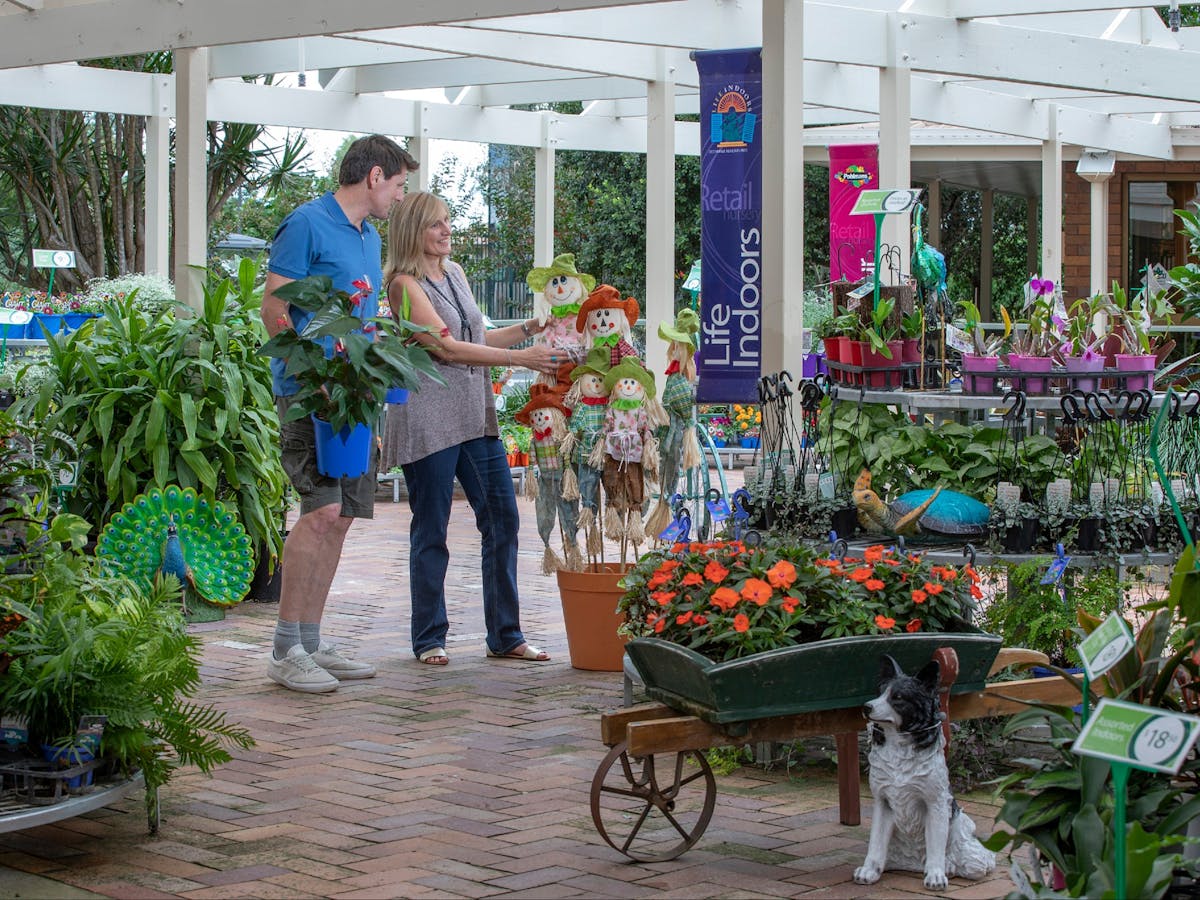 Couple walking through retail nursery
