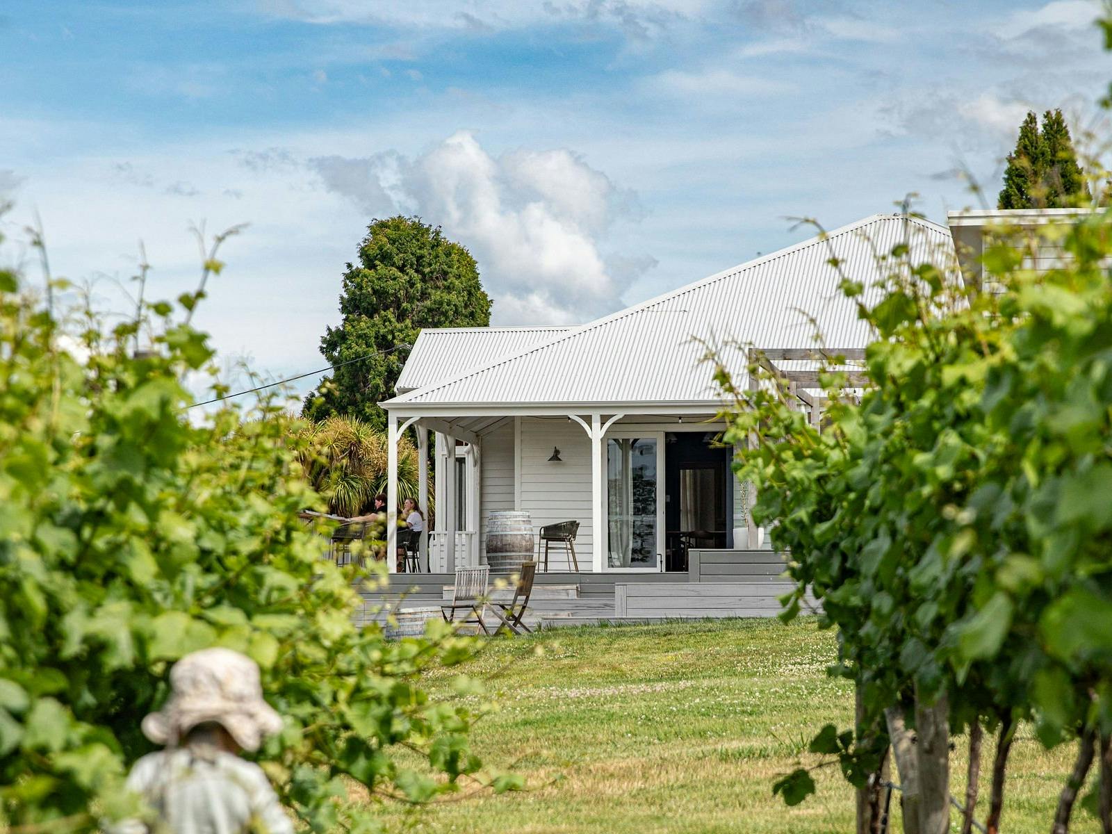 From the Vines