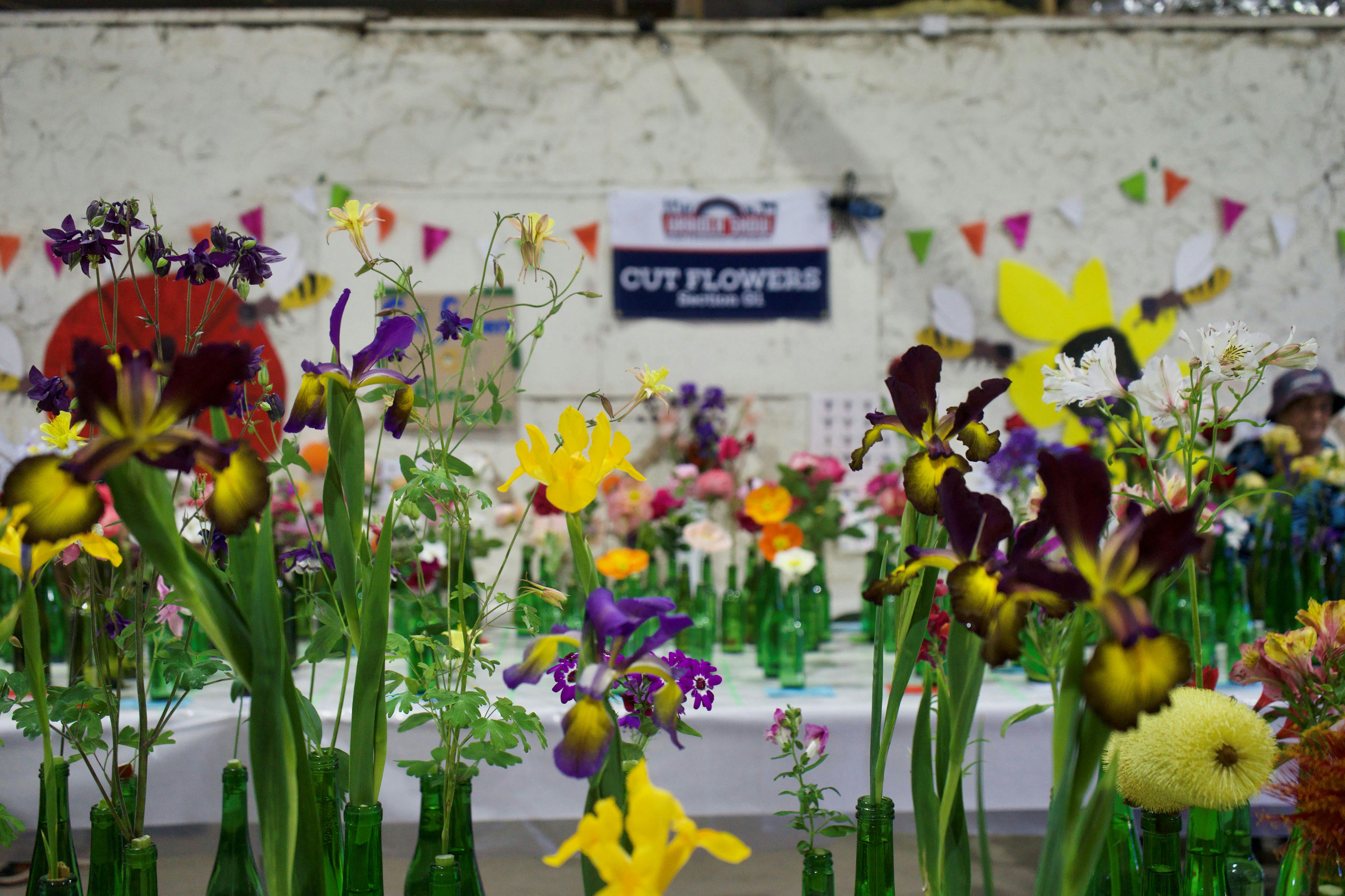 Cut Flowers