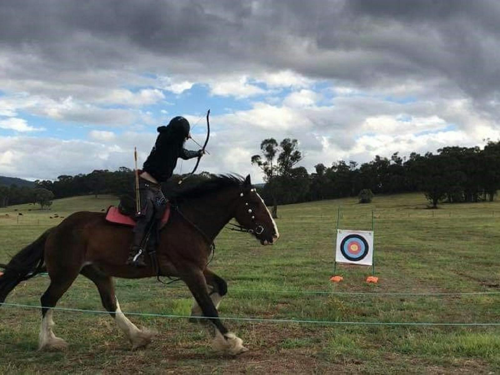 Image for Australian Horse Archery National Championships