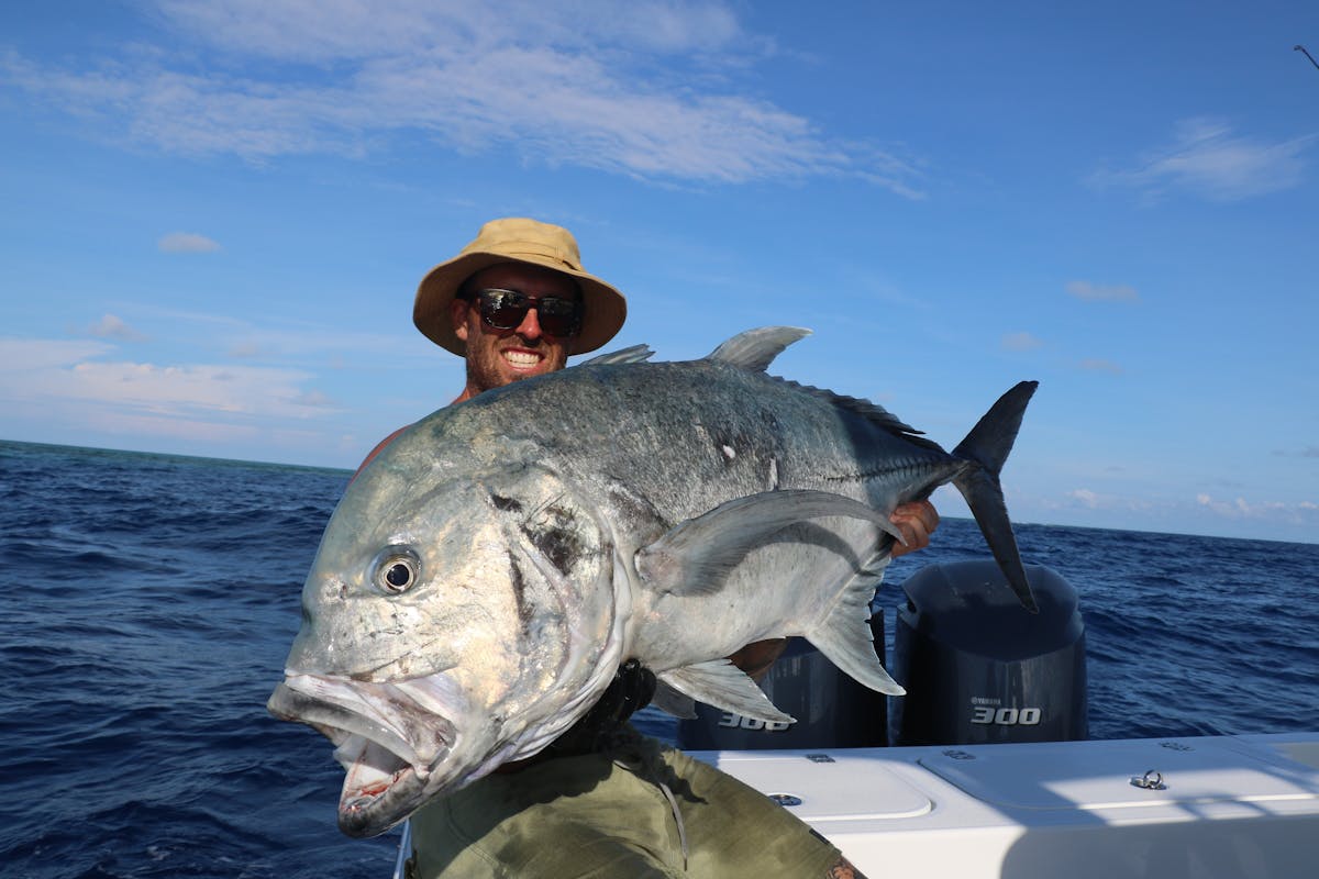 another nice picture showing off how impressive the Giant trevally is!