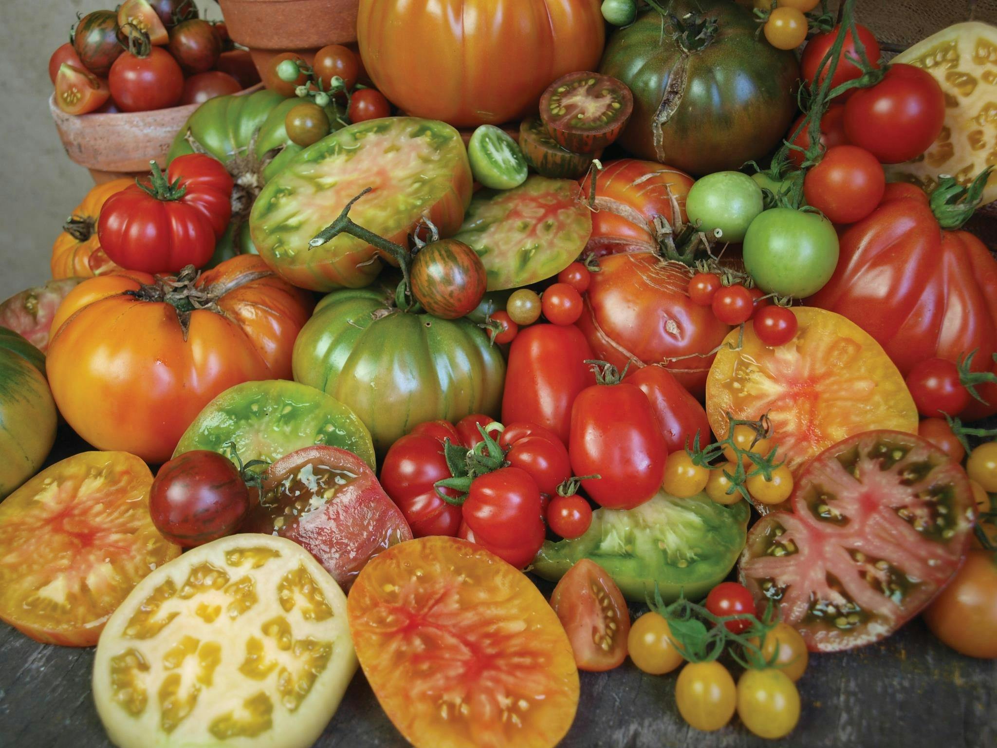 a variety of different heirloom tomatoes in many colours