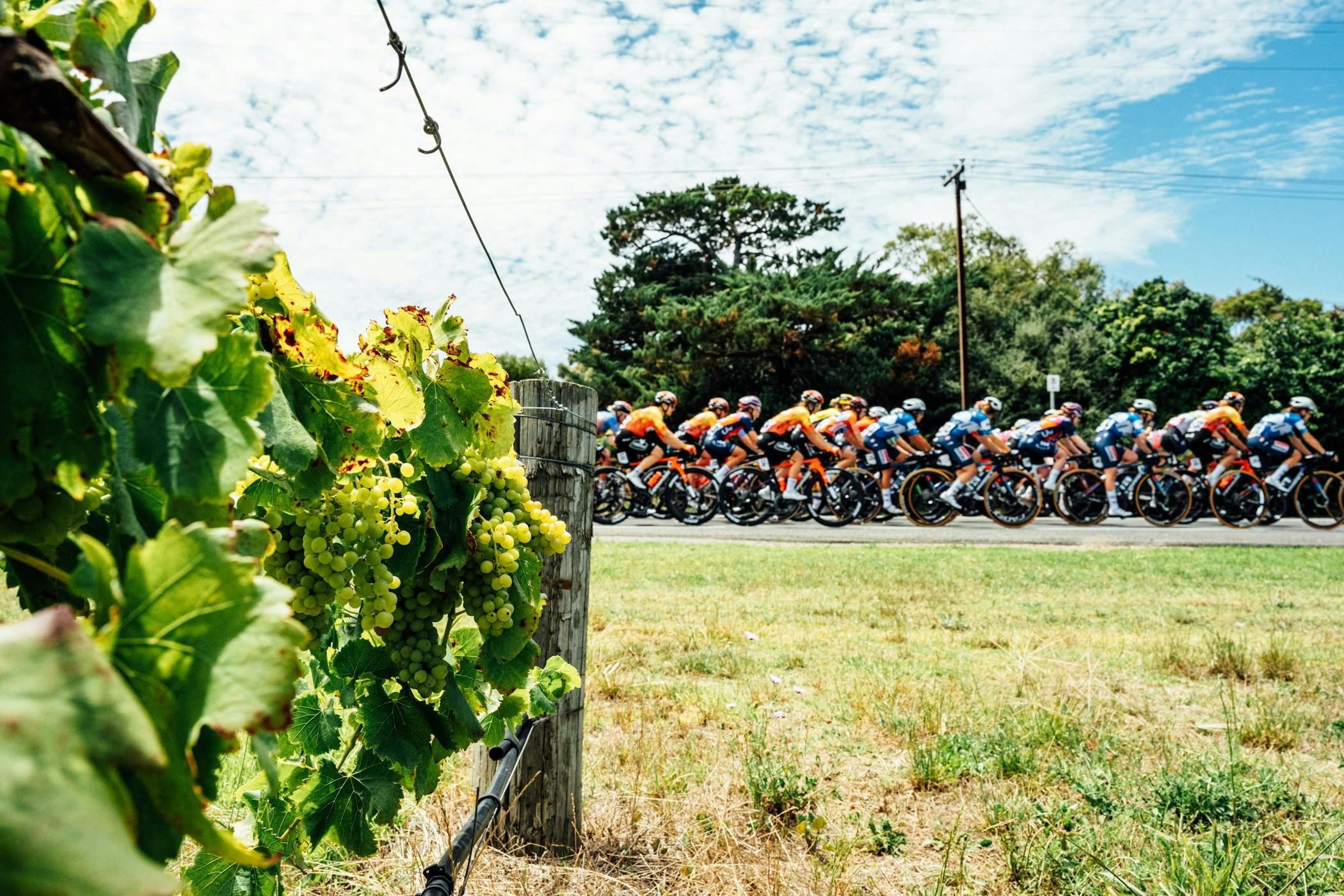 Santos Tour Down Under - Ziptrak Women's Stage 1