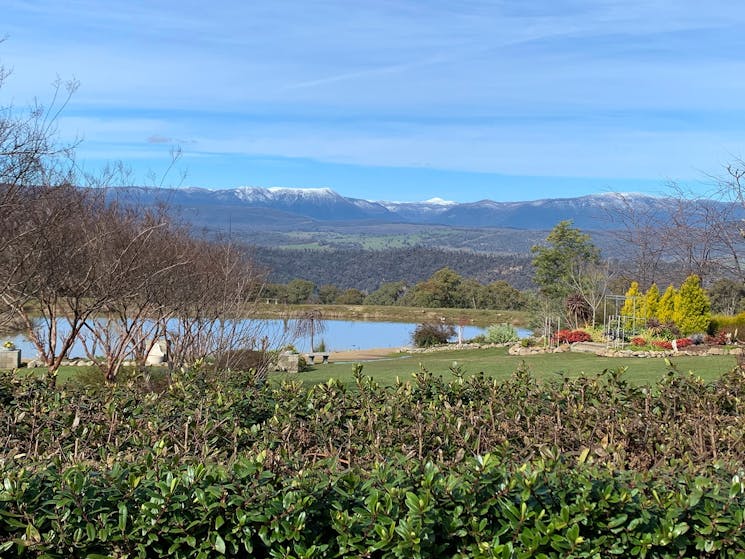 Walk through beautiful Braymont Gardens with stunning views of the Snowy Alps
