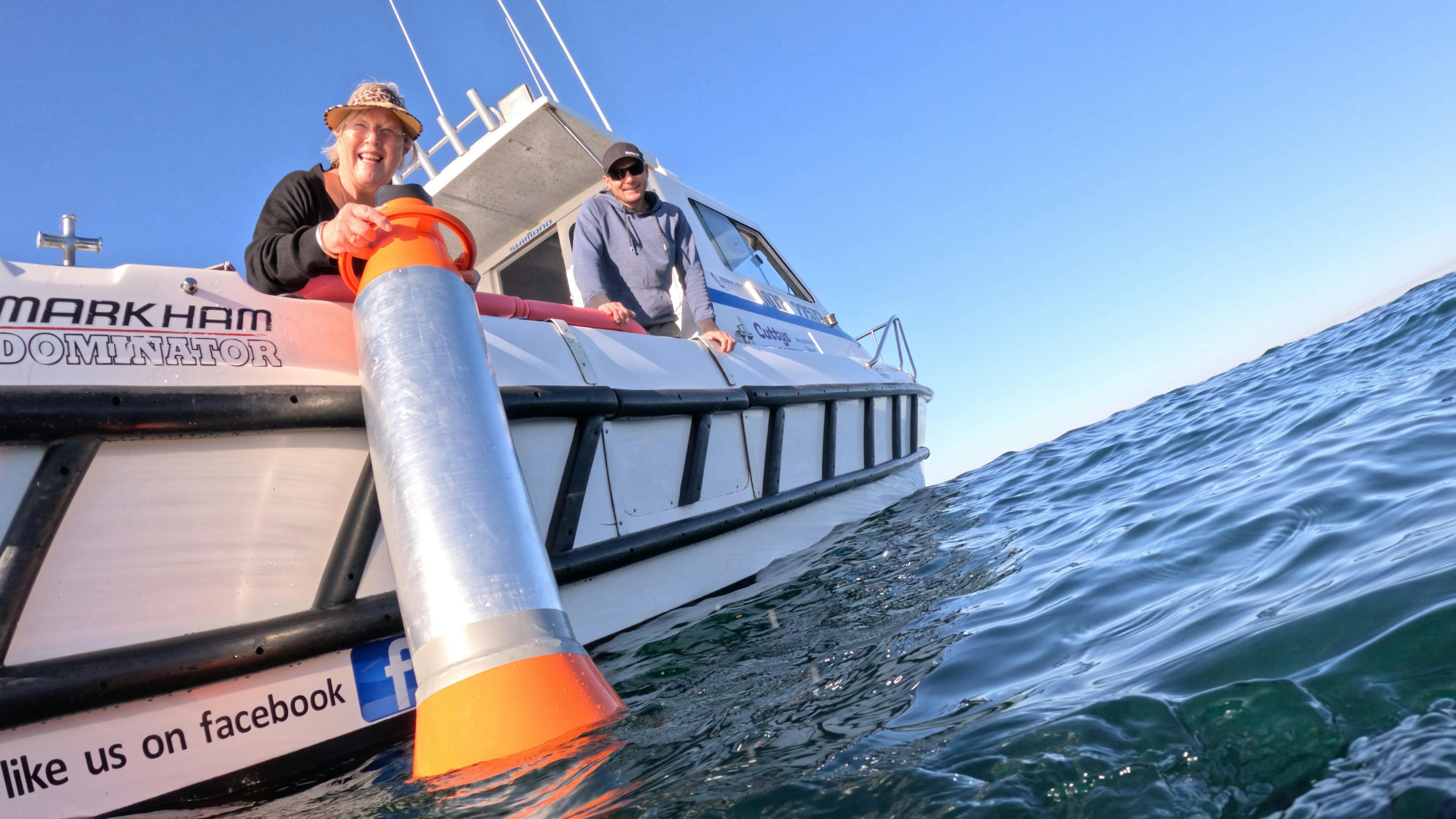 Australian Giant Cuttlefish, Whyalla, Cuttys Accessible tours
