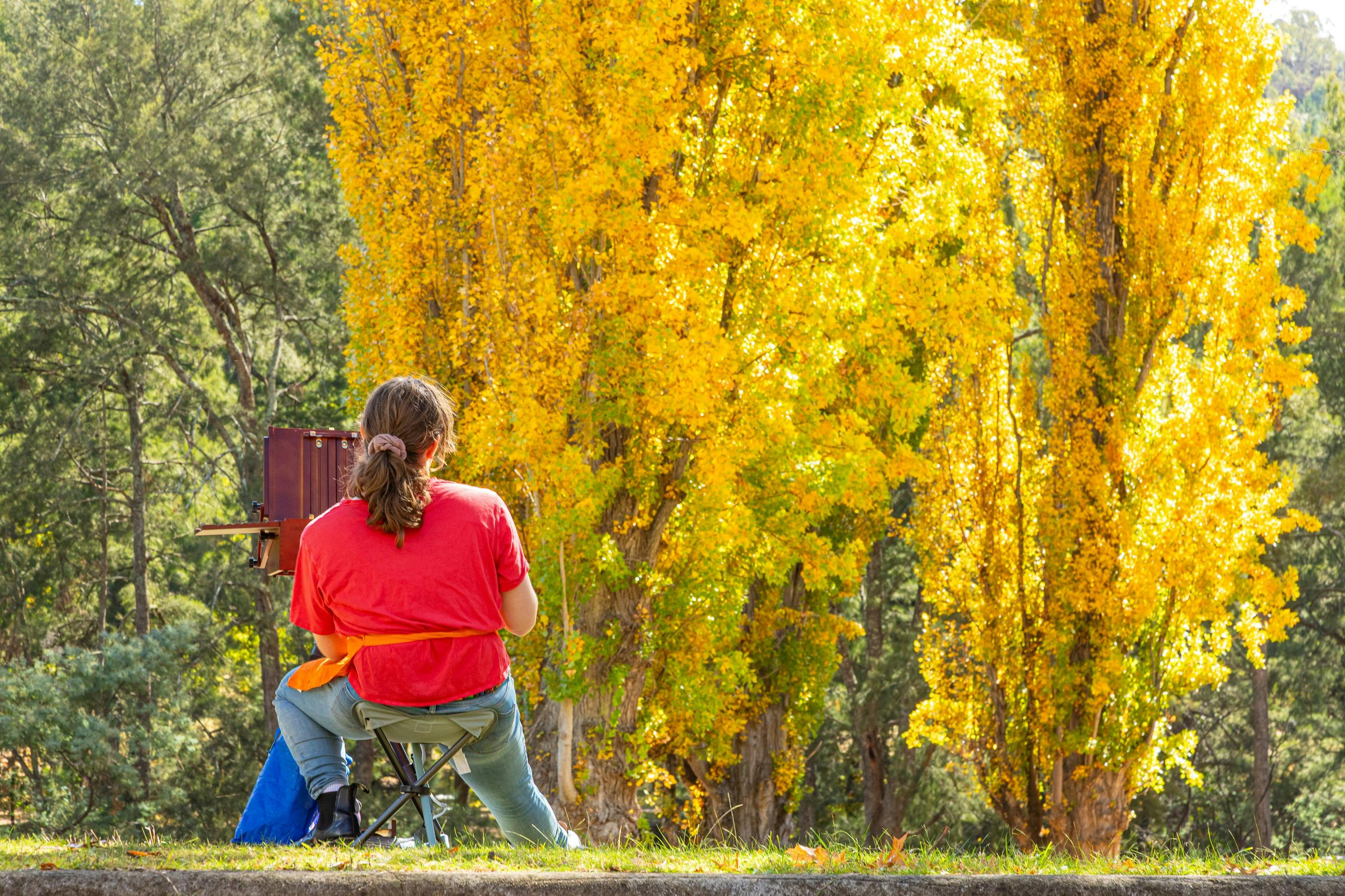 Artist painting poplars at Cotter Bend