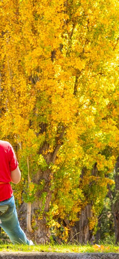 Artist painting poplars at Cotter Bend