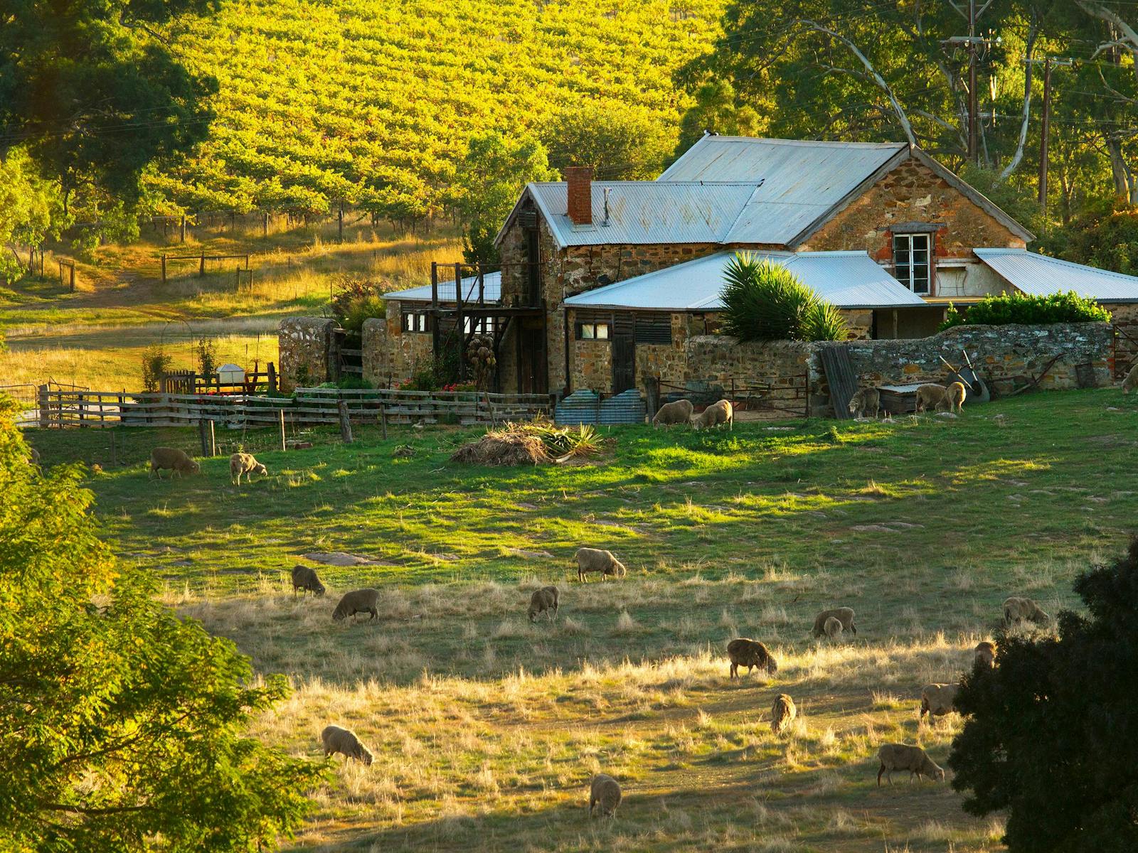 Hutton Vale Farm