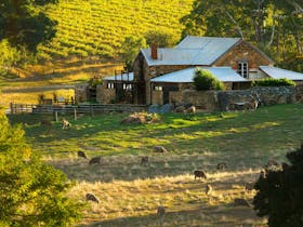 Hutton Vale Farm