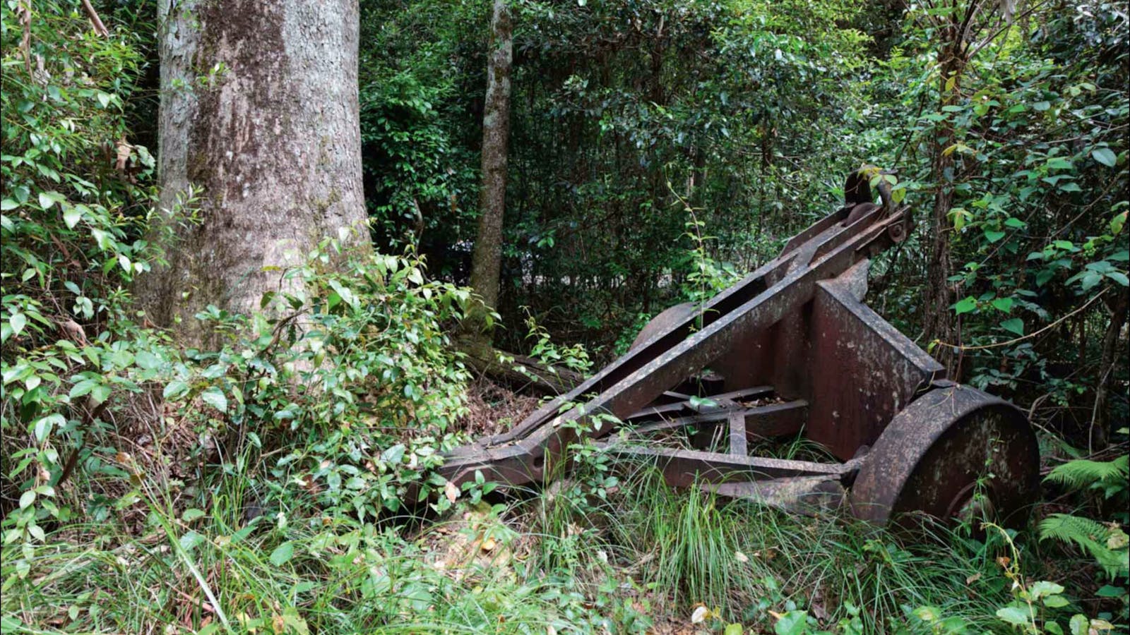 Norman Jolly Picnic Area