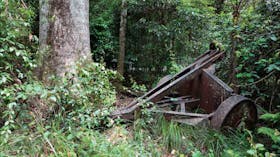 Norman Jolly Picnic Area