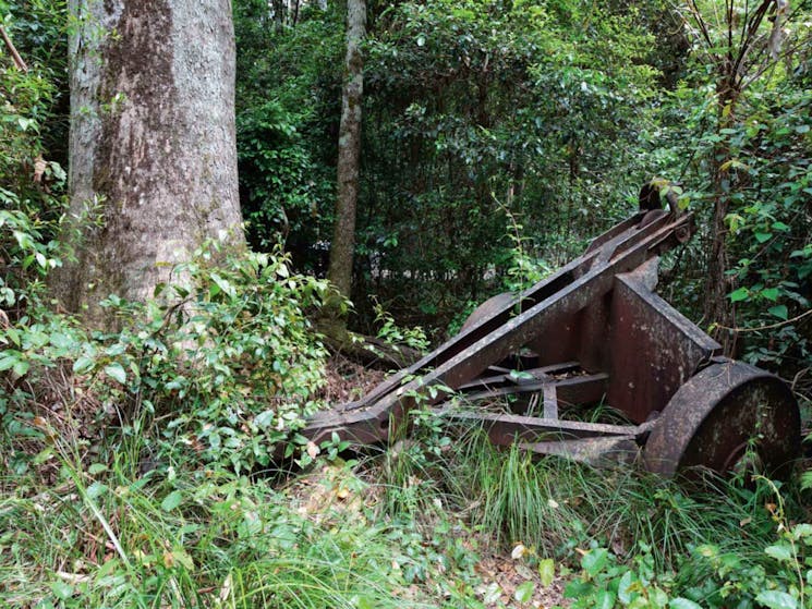 Norman Jolly Picnic Area, Nymboi-Binderay National Park. Photo: Rob Cleary