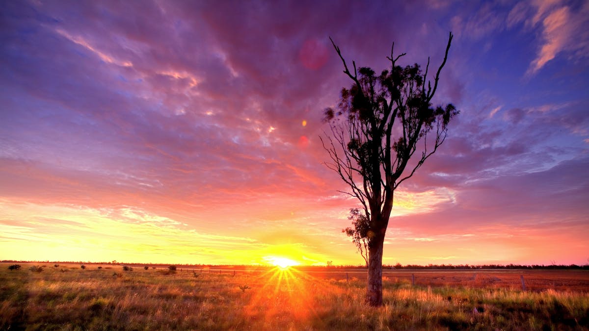 Sunset, Cecil Plains