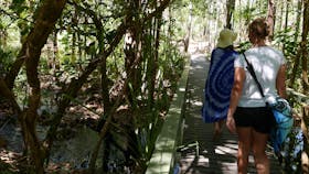 Greenant Creek / Tjaetabe Falls, Litchfield Park, Northern Territory.
