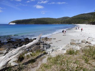 Coral Expeditions - Tasmania