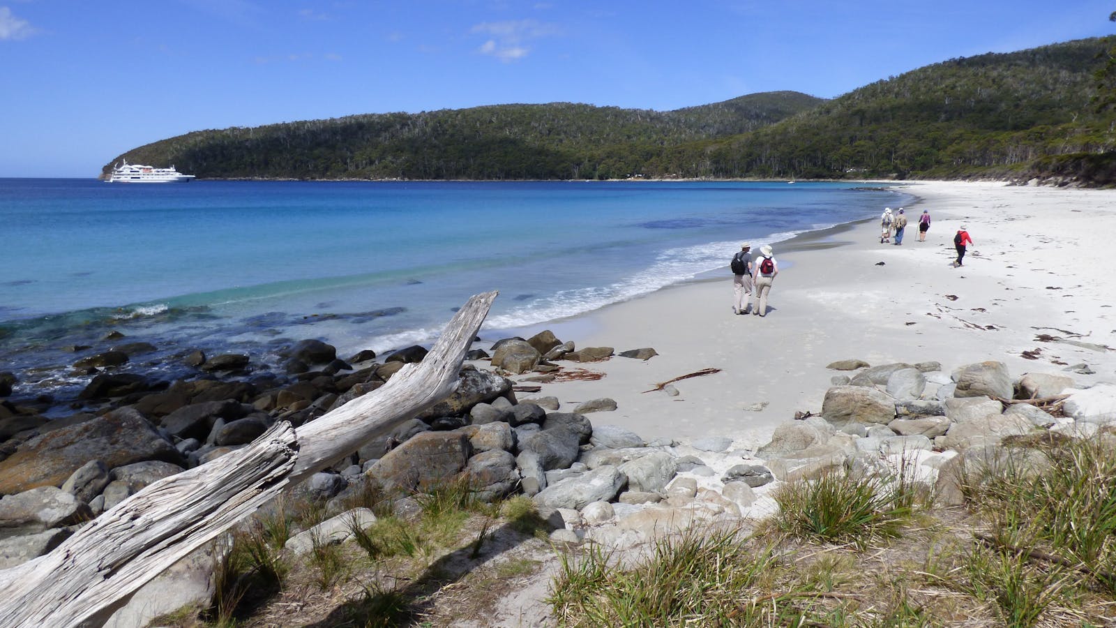 Fortescue Bay, Tasmania - Coral Expeditions