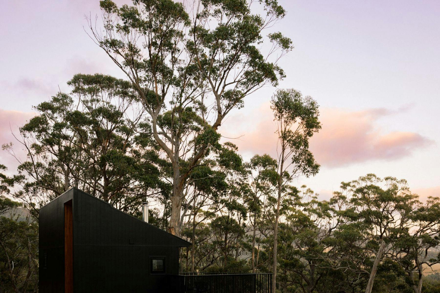 Hunter Huon Valley - Hunter One image
