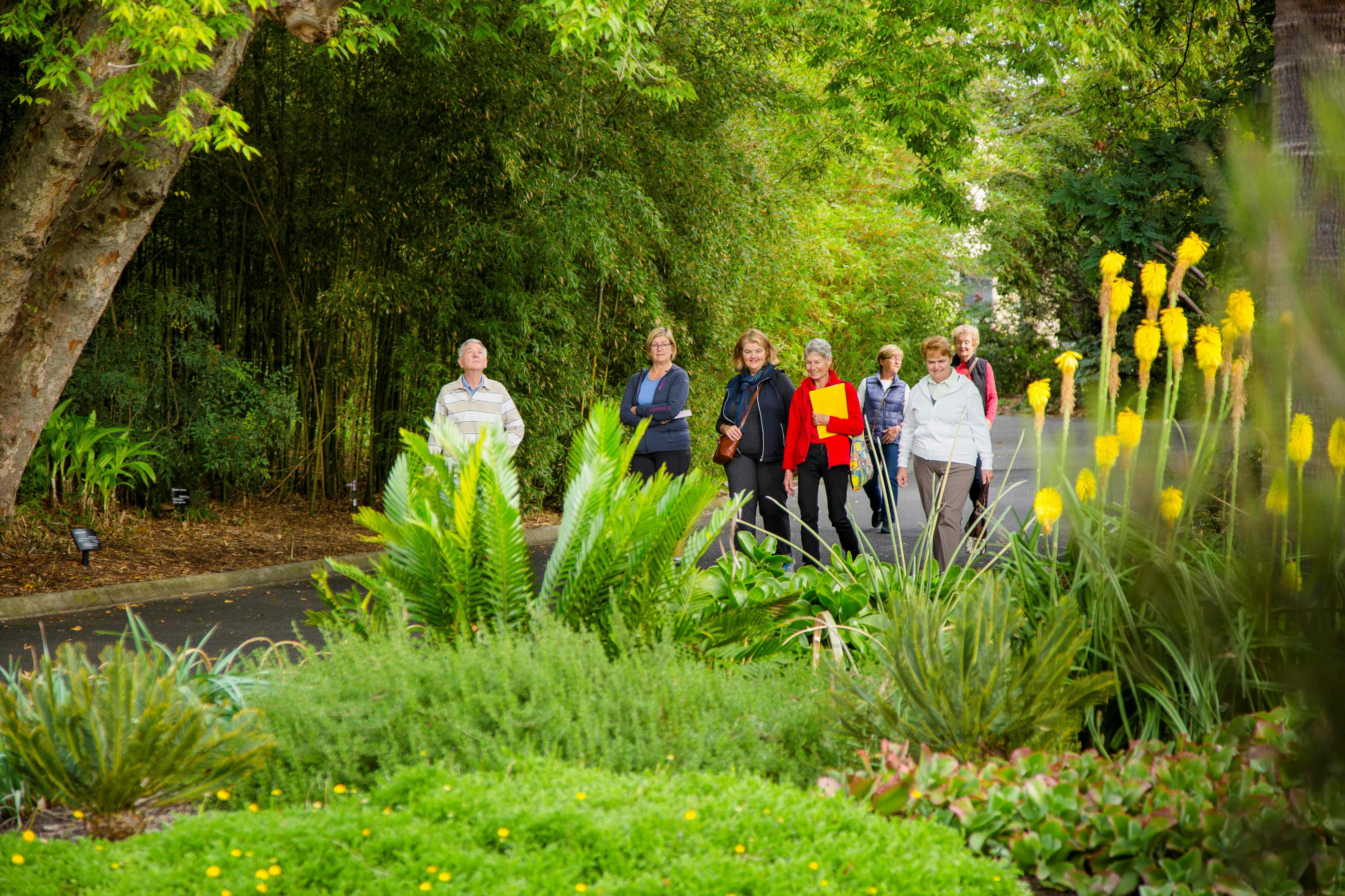 Free Guided Walk at Melbourne Gardens