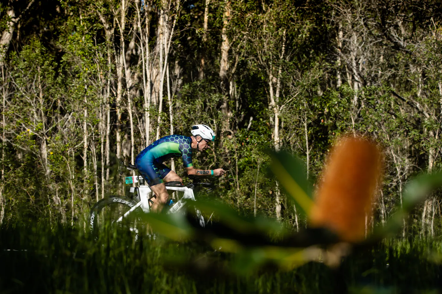 Cyclist riding through trees