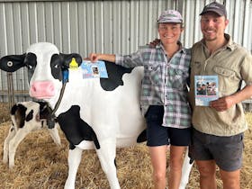 Dairy Adventures Farm Experience