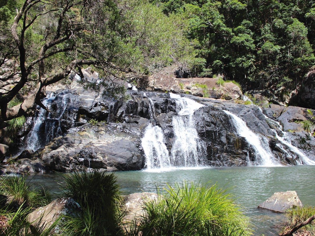 A creek cascading over a rock into a pool surrounded by rocks and vegetation.