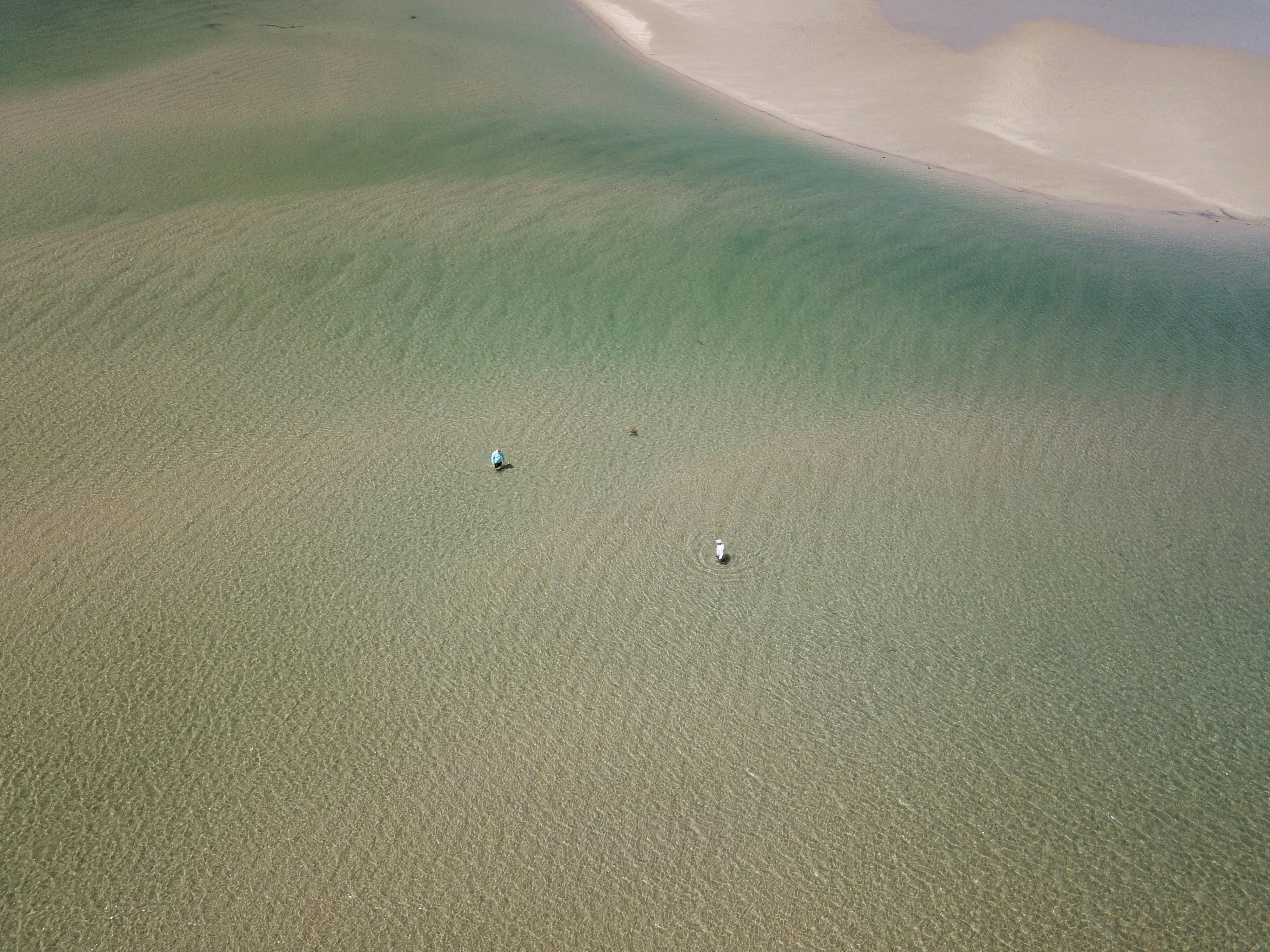 coastal flats
