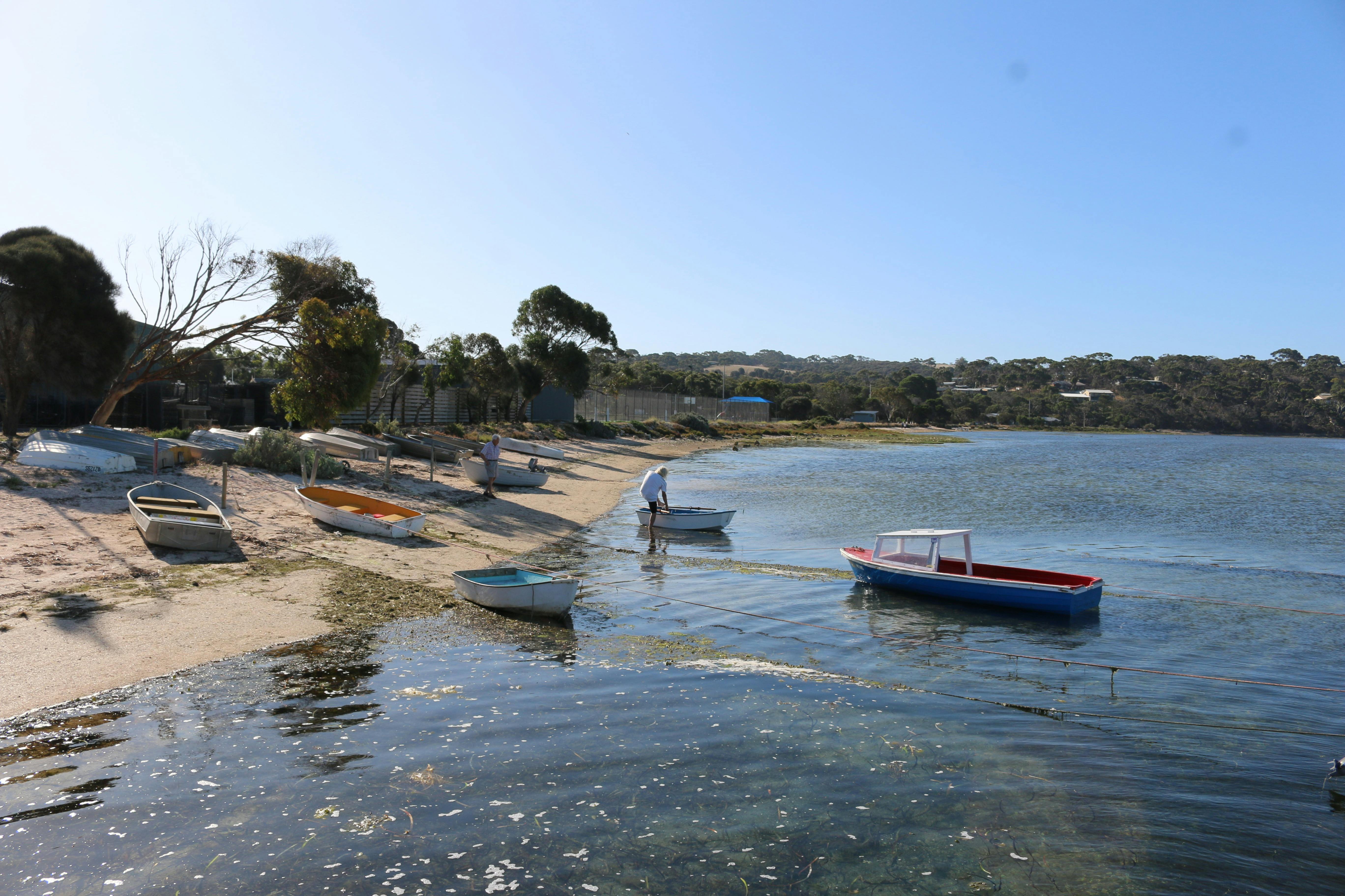 Wooden Row boats on the low tide at American River