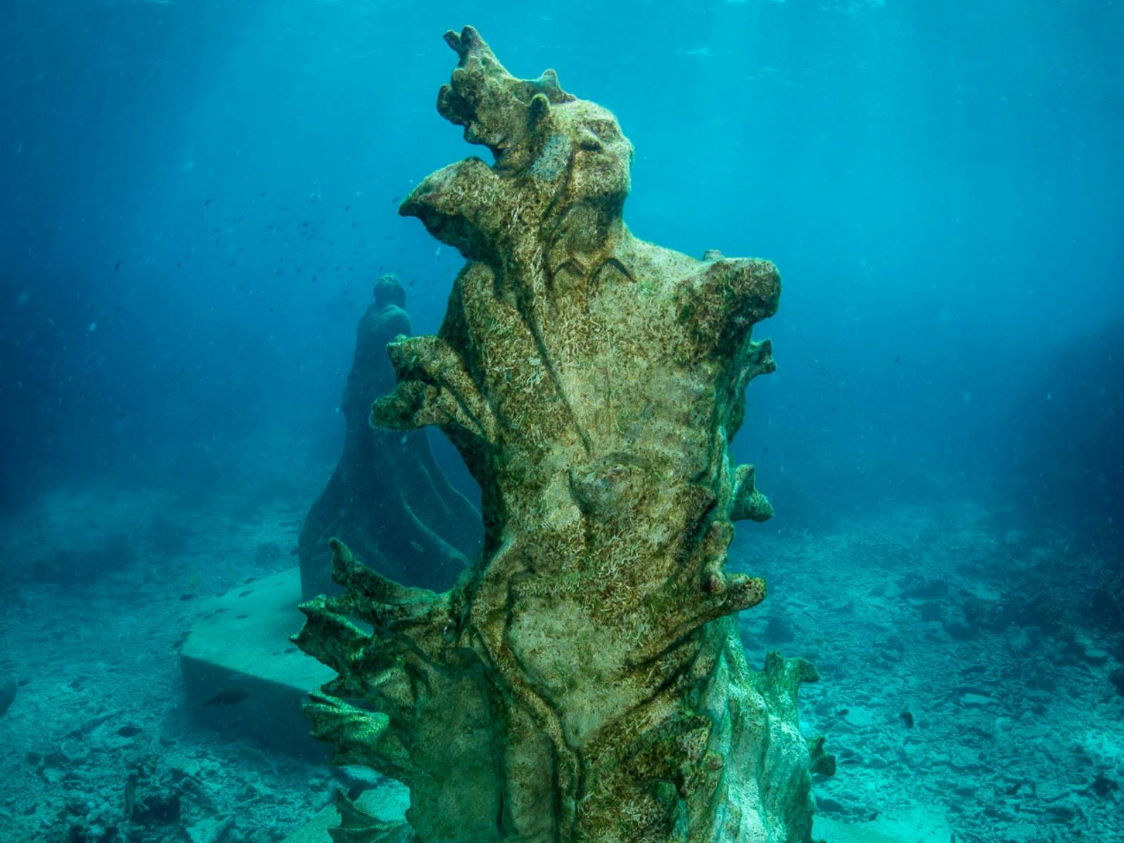 Ocean Sentinels at John Brewer Reef