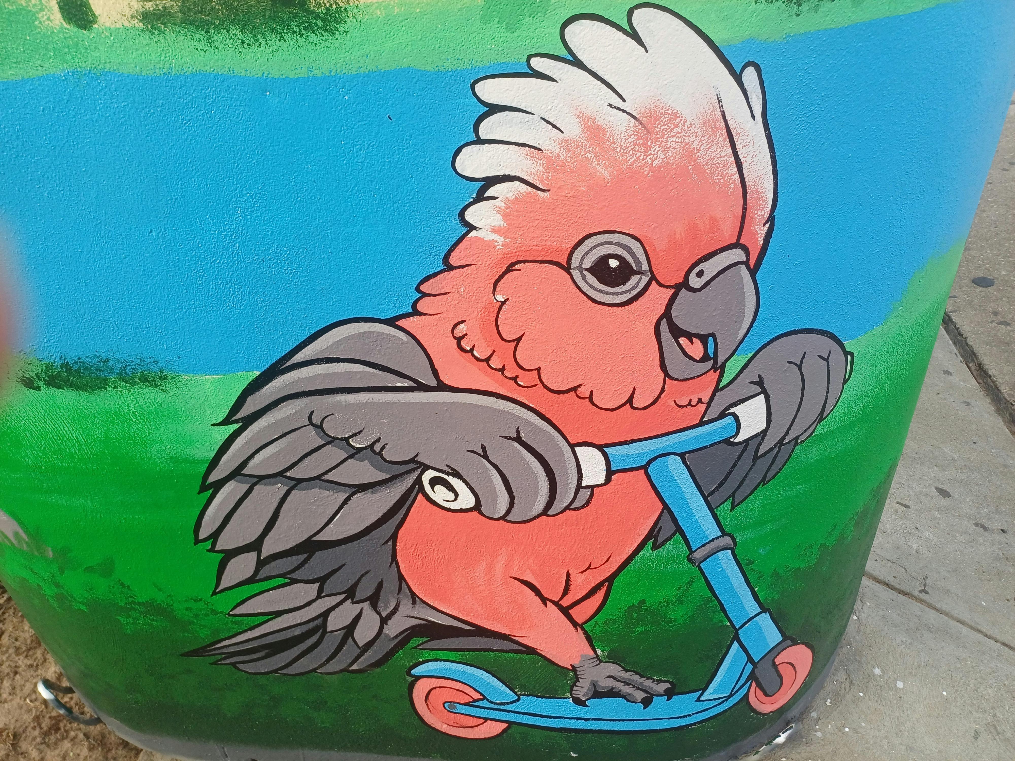 Corowa Skate Park Mural
