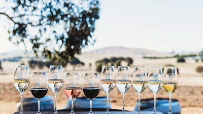 A Gastronomic Adventure: Pairing Exquisite Handcrafted Wines with Artisanal Cheese Platters and Indi