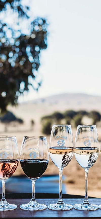 A Gastronomic Adventure: Pairing Exquisite Handcrafted Wines with Artisanal Cheese Platters and Indi