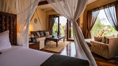 Photo of Giraffe Treehouse featuring 4 poster king bed, living room and view of two giraffes.