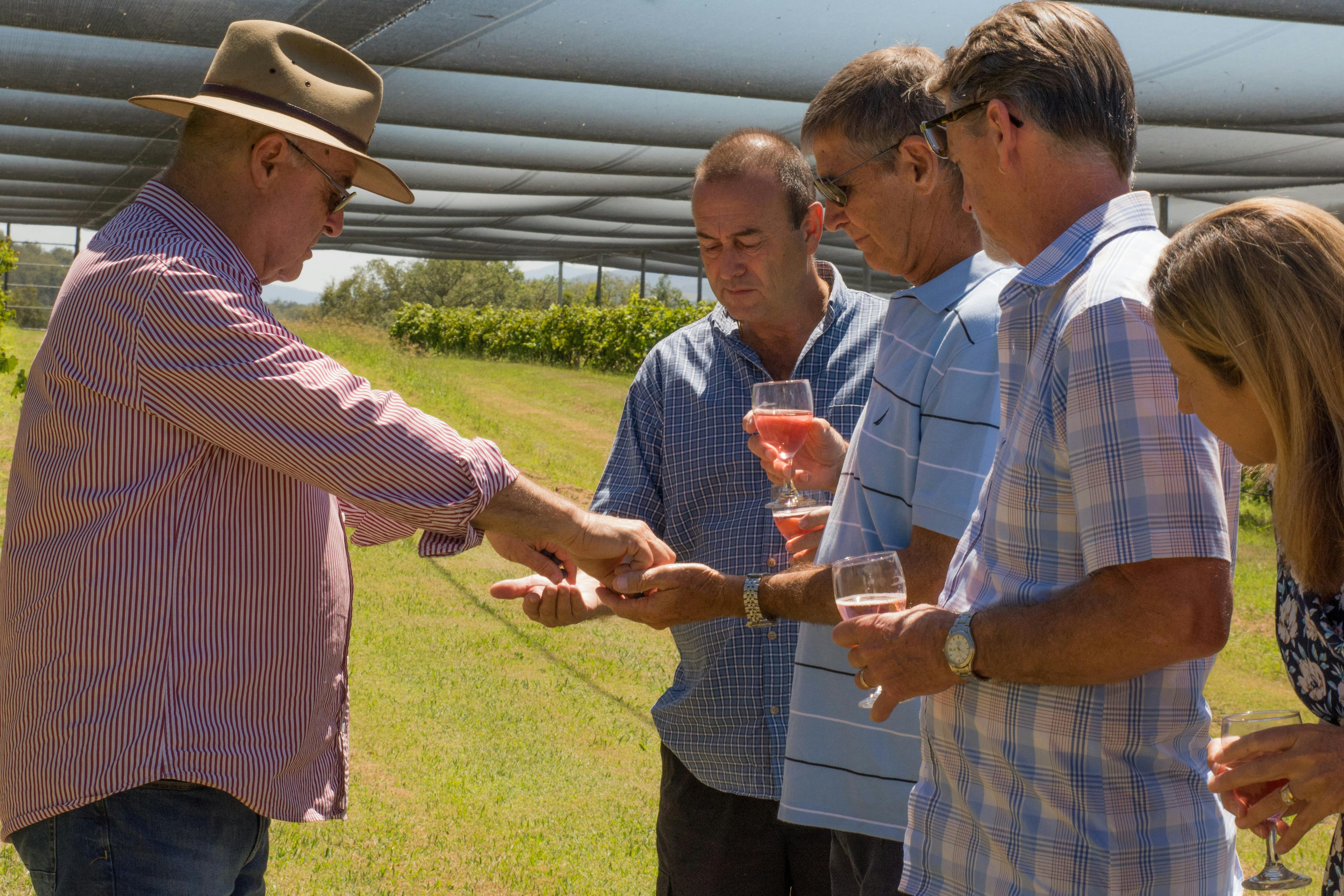 Tour groups educated on  wine and weather with Mountain Wine Tours