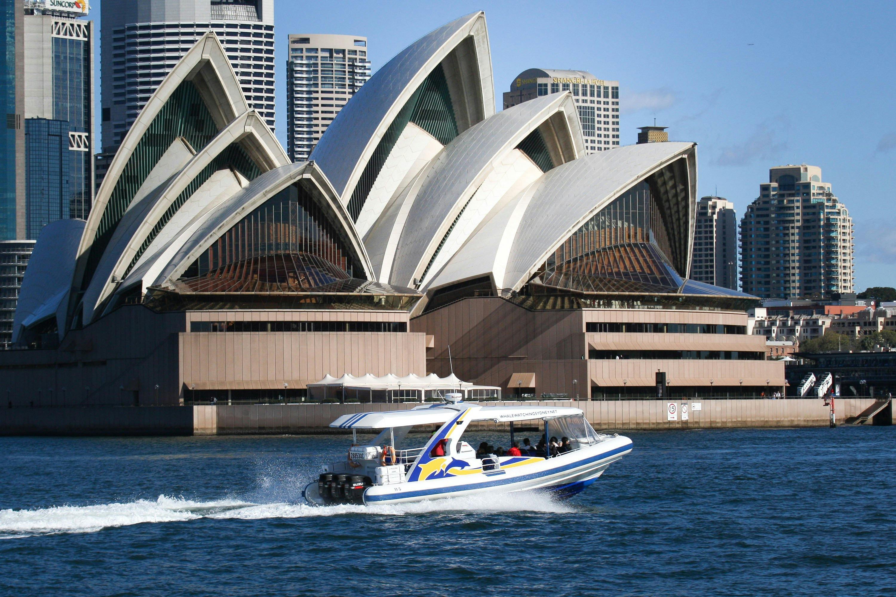 2시간 어드벤처 크루즈