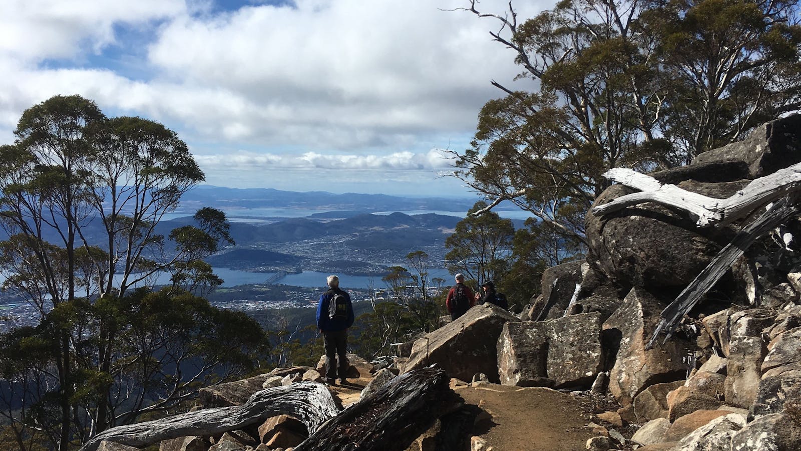 Organ Pipes Walk, kunanyi/Mt Wellington